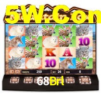 68 Brl Bet